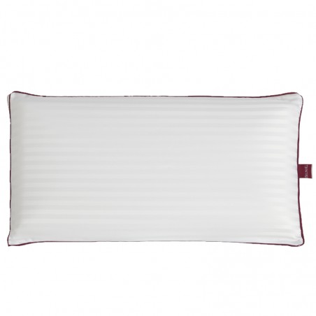 ALMOHADA VISCOSEDA 70