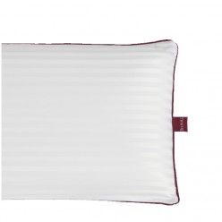 ALMOHADA VISCOSEDA 70