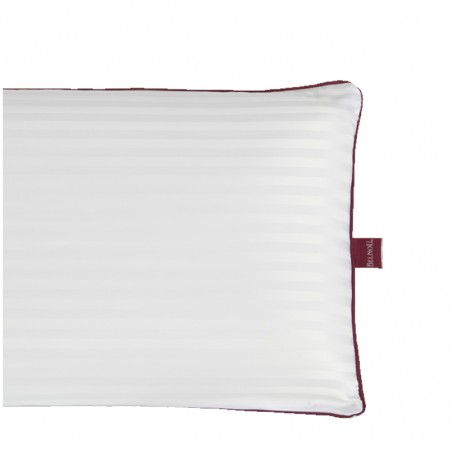 ALMOHADA VISCOSEDA 70